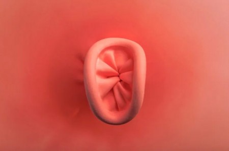 anus