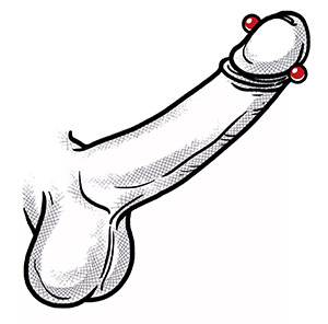 Piercing Apadravya